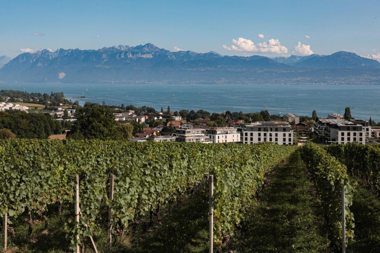 Les Volets Bleus Apartment Morges Exterior photo